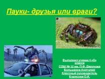 Исследовательская работа по теме Пауки(4 класс)