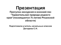 Презентация Удивительная красота родного края