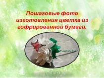 Пошаговые фото изготовления цветка из гофрированной бумаги.