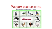Презентация по внеурочной деятельности ИЗО Рисуем разных птиц