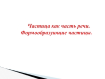 Презентация по русскому языку на тему