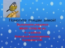 Презентация проекта Птицы (4 класс)