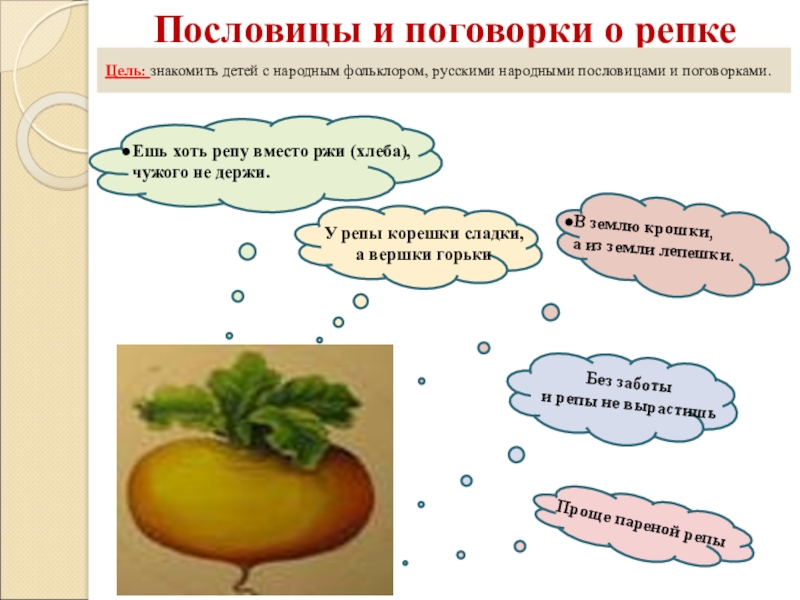 Проект на тему сказки Репка Пословицы и поговорки о репкеУ репы корешки сладки, а вершки горькиВ Пословицы и поговорки о репкеУ репы корешки сладки, а вершки горькиВ землю крошки, а из земли лепешки.Без