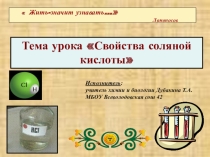 Презентация по химии на тему  Соляная кислота и ее соли