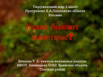 Презентация по окружающему миру на тему:Какие бывают животные? (2 класс)