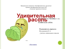 Презентация по окружающему миру на тему: Удивительная фасоль