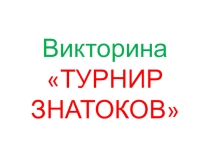 Презентация внеклассного мероприятия по русскому языку Турнир знатоков