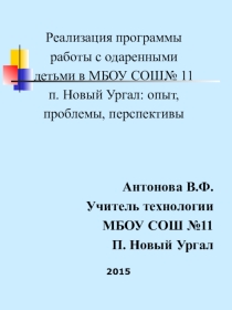 Презентация Реализация программы работы с одаренными детьми в МБОУ СОШ № 11 п.Новый Ургал