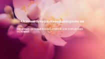 Основы декоративной дендрологии