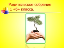 Презентация: Первое родительское собрание.
