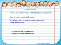 Презентация по русскому языку на тему Единственное и множественное число имен существительных.(2 класс)