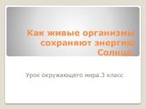 Урок окружающего мира на тему Как живые организмы запасают энергию Солнца