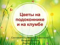 Цветы на подоконнике и на клумбе