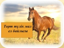Презентация Төрт түлік мал ел байлығы