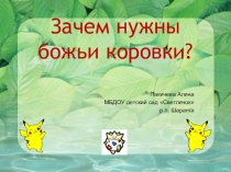 Презентация Окружающий мир Зачем нужны божьи коровки?