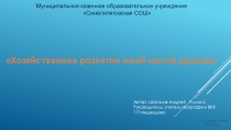 Урок на тему Хозяйственное развитие моей малой Родины
