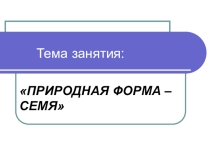 Презентация по программе Природа и творчество на тему Природная форма- семя