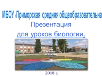 Презентация по биологии 8 класс на тему Эволюция человека