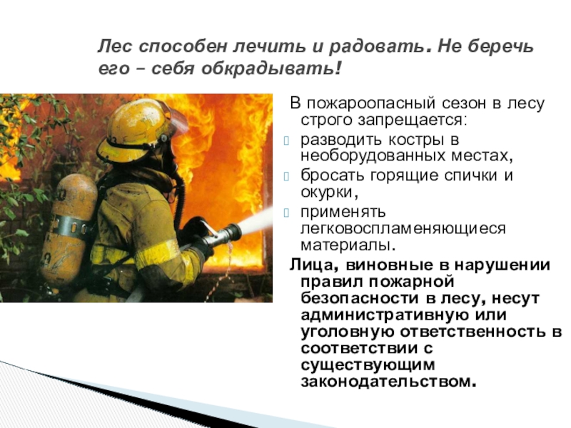 Презентация по пожарной безопасности В пожароопасный сезон в лесу строго запрещается:разводить костры в необорудованных В пожароопасный сезон в лесу строго запрещается:разводить костры в необорудованных местах,бросать горящие спички и окурки,применять легковоспламеняющиеся