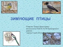 Урок по окружающему миру Зимующие птицы