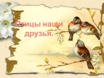 Презентация к классному часу  Птицы