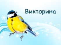 Классный час Зимующие птицы