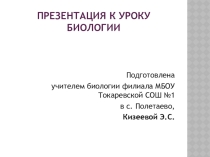 Презентация к уроку биологии Строение ядра клетки (9 класс)