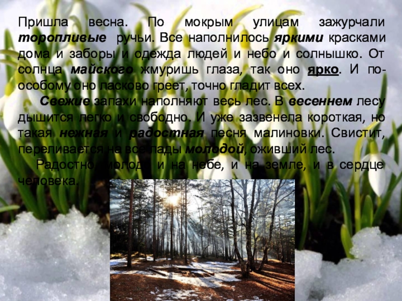Презентация Обобщение по теме Имя прилагательное (5 класс) Пришла весна. По мокрым улицам зажурчали торопливые ручьи. Все наполнилось яркими Пришла весна. По мокрым улицам зажурчали торопливые ручьи. Все наполнилось яркими красками дома и заборы и одежда