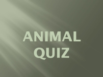 Презентация по английскому языку на тему  Викторина о животных( Animal Quiz) для 7 класса