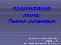 Презентация по биологии на тему Генная инженерия (10класс)