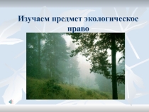 Презентация по теме Введение в экологическое право