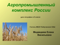 Презентация к уроку географии по теме Агропромышленный комплекс, 9 класс