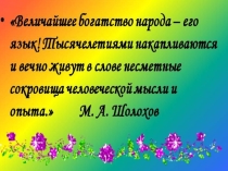 Презентация по русскому языку на тему  Родной язык - душа народа