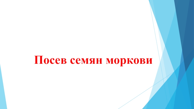 Презентация по трудовому обучению на тему: Подзимые посевы и посадки (8 класс)