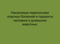 Презентация по биологии на тему: Насекомые вредители(7 класс)