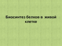 биосинтез белка
