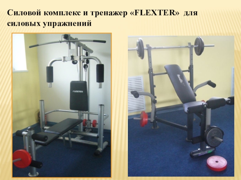 Школа будущего Проект Спортивный центр моей мечты Силовой комплекс и тренажер «FLEXTER» для силовых упражнений Силовой комплекс и тренажер «FLEXTER» для силовых упражнений