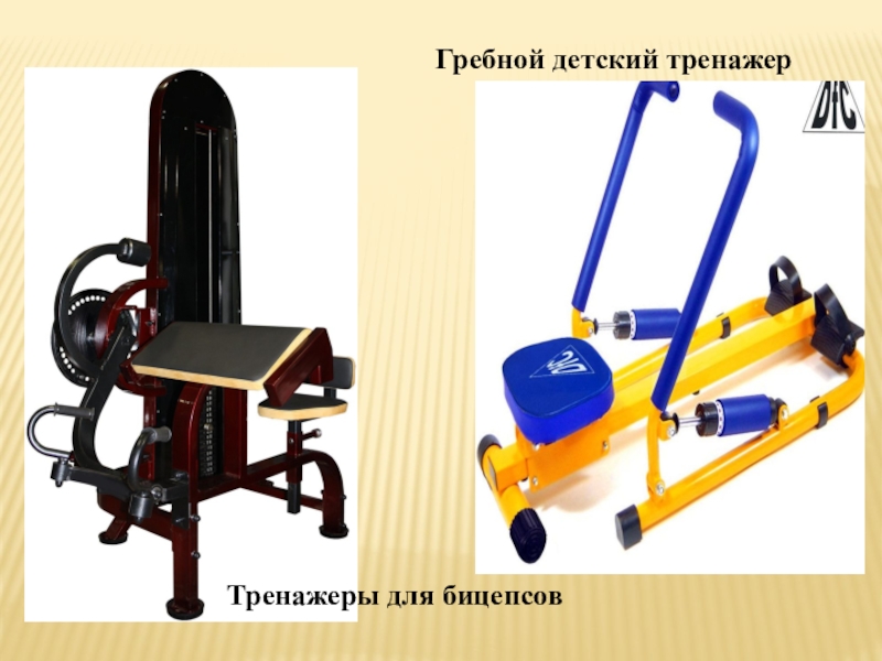 Школа будущего Проект Спортивный центр моей мечты Тренажеры для бицепсовГребной детский тренажер Тренажеры для бицепсовГребной детский тренажер