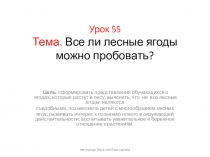 Лесные ягоды