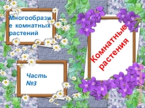 Презентация по окружающему миру на тему Комнатные растения (4 класс)