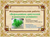 Презентация к конкурсу Я-исследователь по теме : Выращивание кристаллов в домашних условиях.