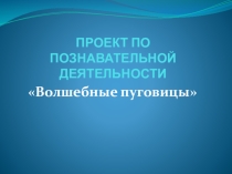 Проект по познавательной деятельности Волшебные пуговицы