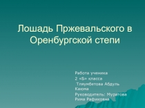 Презентация для речевой конференции Лошадь Пржевальского в Оренбургской степи