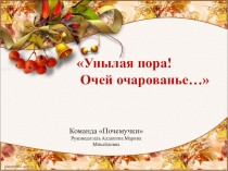 Презентация по литературному чтению Унылая пора! Очей очарование...