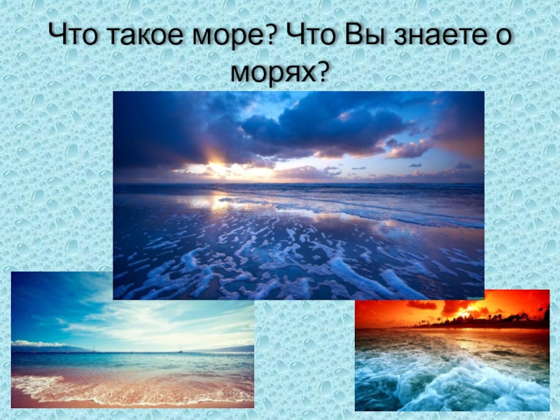 Презентация о море