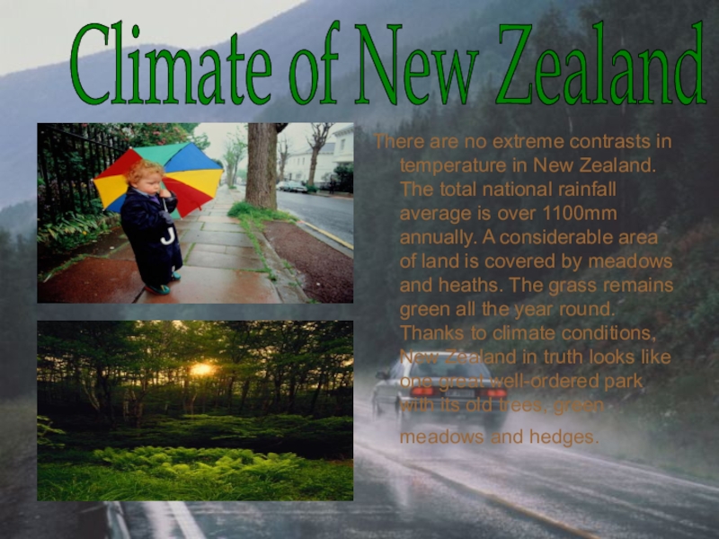 Презентация по английскому языку: New Zealand There are no extreme contrasts in temperature in New Zealand. The There are no extreme contrasts in temperature in New Zealand. The total national rainfall average is over