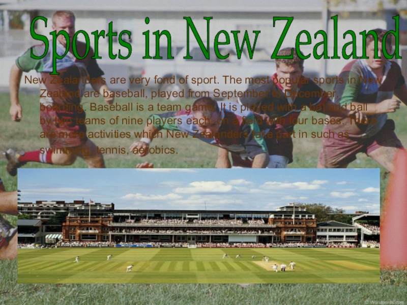 Презентация по английскому языку: New Zealand New Zealanders are very fond of sport. The most popular sports New Zealanders are very fond of sport. The most popular sports in New Zealand are baseball, played