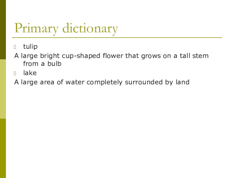 Презентация по английскому языку: New Zealand Primary dictionarytulipA large bright cup-shaped flower that grows on a tall Primary dictionarytulipA large bright cup-shaped flower that grows on a tall stem from a bulblakeA large area