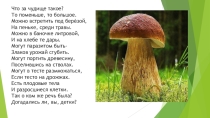 Презентация к уроку по биологии 5 класс Царство Грибы