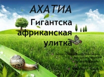 Презентация по ознакомлению с миром природы